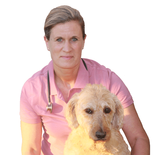 Tierarztpraxis_Dr-Anja_Kittner_Oberndorf-am-Lech_Donauwoerth_Team-540x540-1